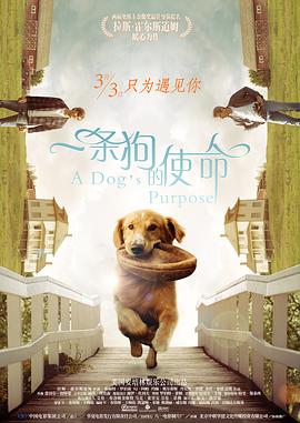 《饥饿游戏2》曝宣传照 劳伦斯涅槃班克斯浓艳 2013-10-30 《饥饿游戏2：星火燎原》即将于11月21日在中国上映，日前，出品方狮门影业发布了一组影片的高清宣传照，詹妮弗·劳伦斯、乔什·哈切森、伊丽莎白·班克斯、吉娜·马隆四位主演在照片中惊艳亮相。