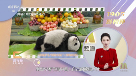 “大表姐”詹妮弗·劳伦斯或将在老搭档大卫·O·拉塞尔新片中饰演老牌男星罗伯特·德尼罗的母亲，这二人相差47岁，一位90后如何演绎40后的母亲，令观众为之期待。